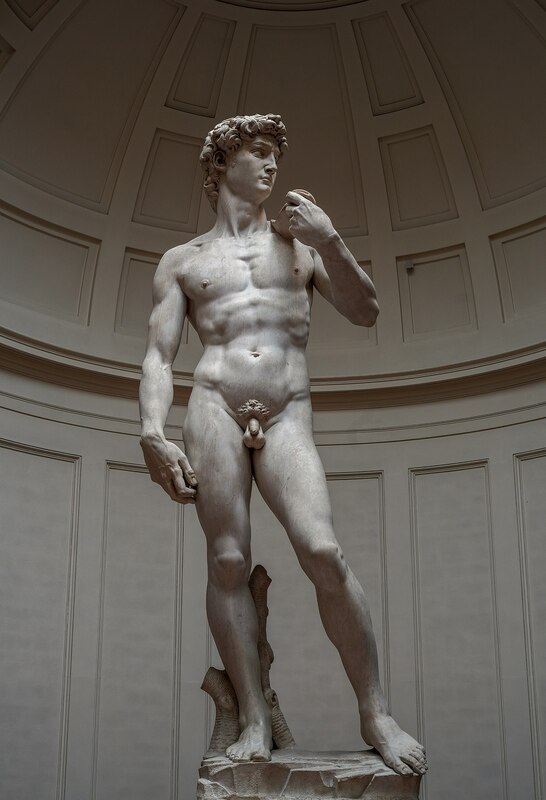 Michelangelo's_David_-_right_view_2.jpg