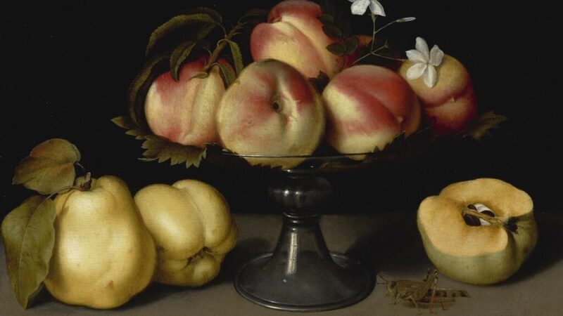 fruit and jasmine.jpeg fruit and jasmine.jpeg