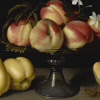 fruit and jasmine.jpeg