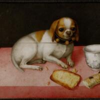 Dog with a Biscuit and a Chinese Cup