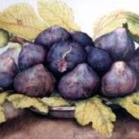 figs2.jpeg