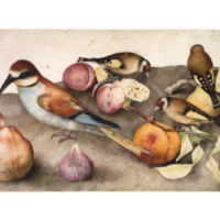 birds and fruit.png